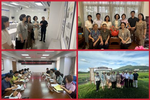 調研組工作剪影.jpg
