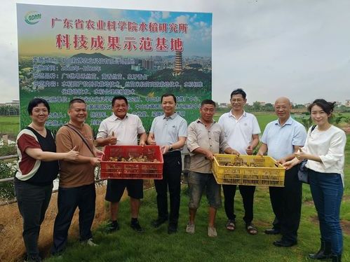 助力“百千萬(wàn)工程”