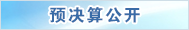 預(yù)決算